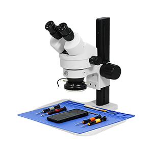 Stereo Microscope